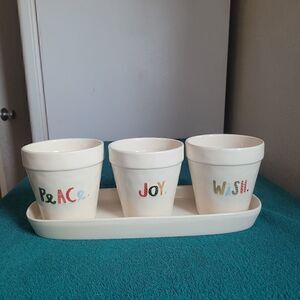 Rae Dunn indoor planter